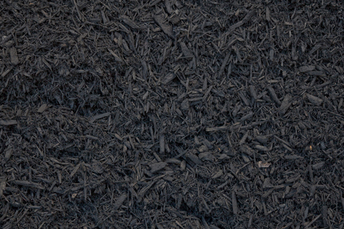 Black-Mulch