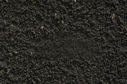 Black-soil