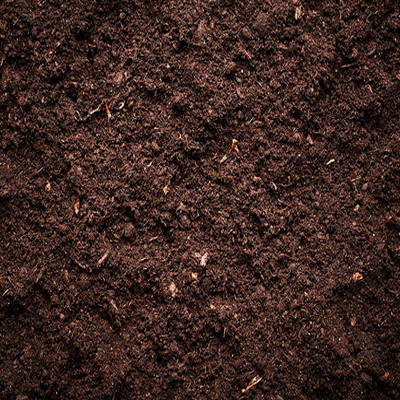 Soils