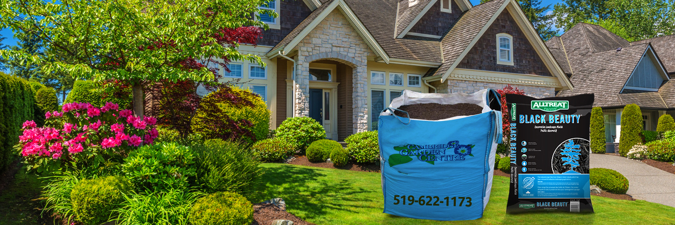Garden Soil Sale