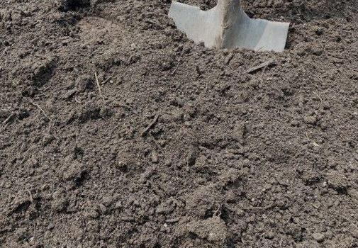 garden soil garden soil