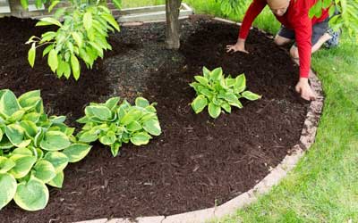 What are the different types of Mulch to be used in 
the garden? 
