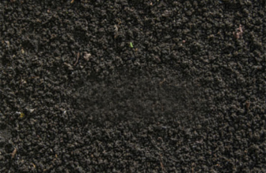 Black-Soil