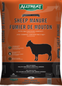 sheep manure