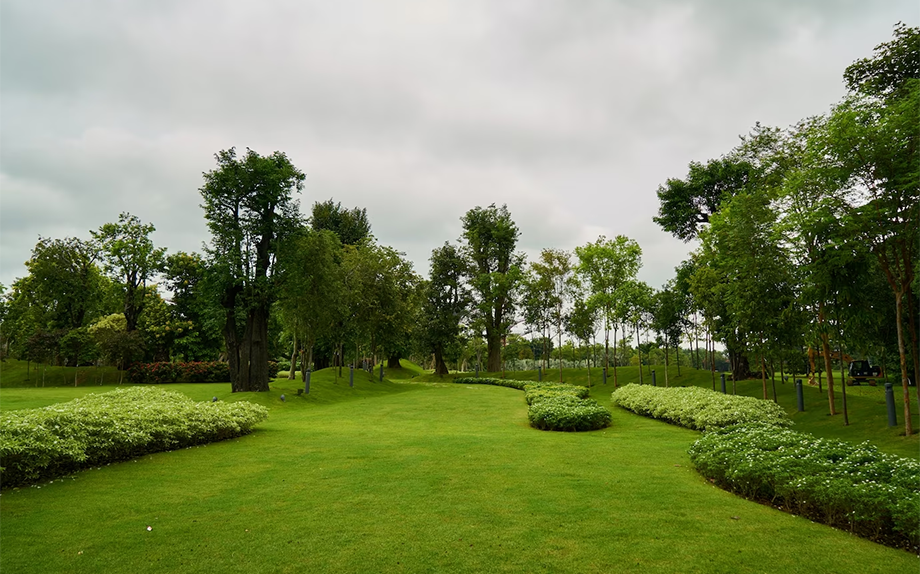 Yard Bags Supply: A Convenient Solution for Garden Enthusiasts